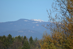 DSC_1808
