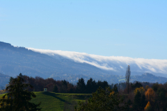 DSC_2242