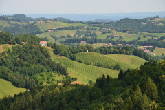 Landschaft5