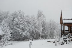 Winter-Jan23-Test