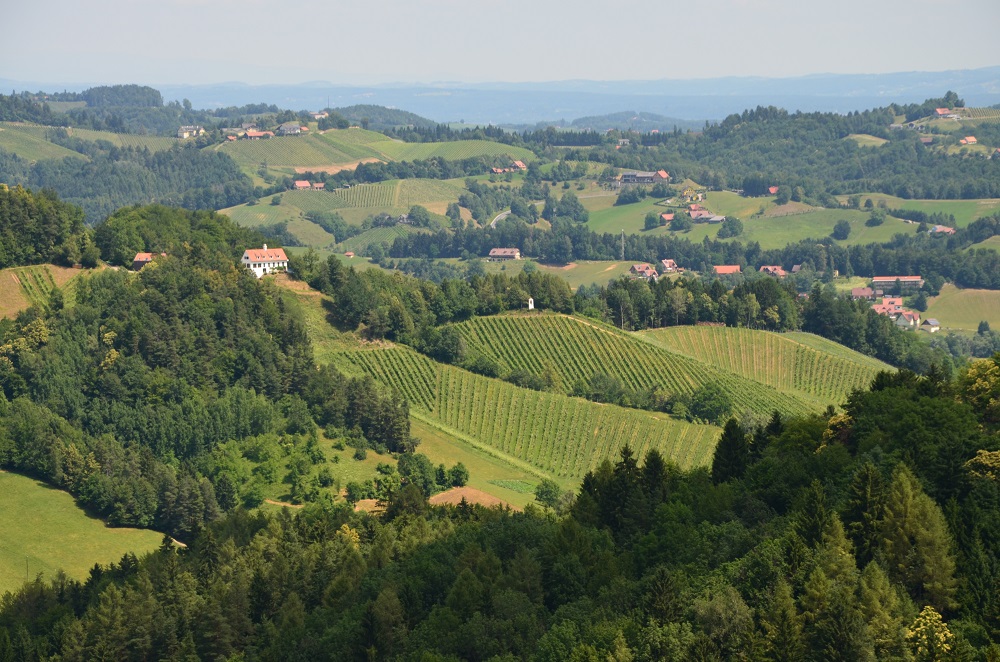 Landschaft5
